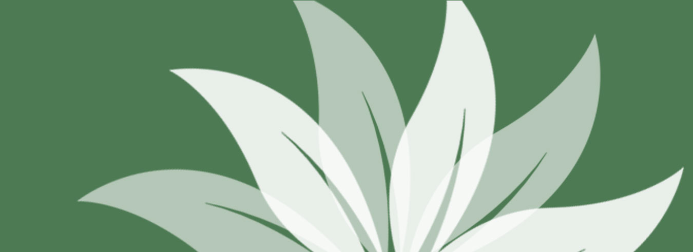 Great Plains Natural Gas energy efficiency information